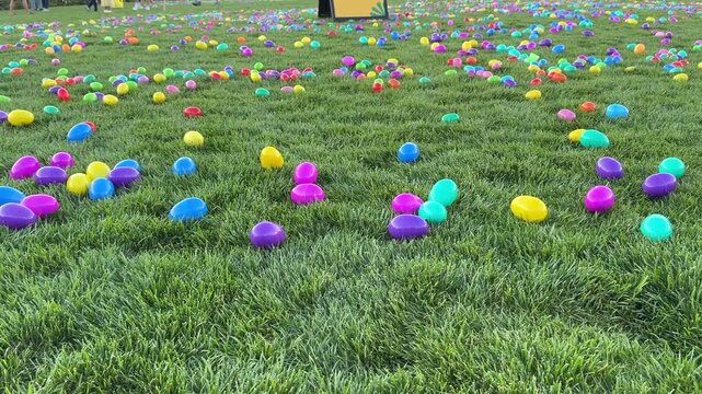 Colorful plastic easter eggs filled with goodies scattered across a green grassy lawn for a large scale Easter Egg Hunt. An fun community event to celebrate Easter.