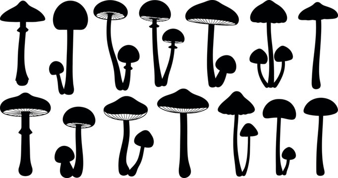 Collection of black silhouette mushroom with varied shapes and sizes white nature