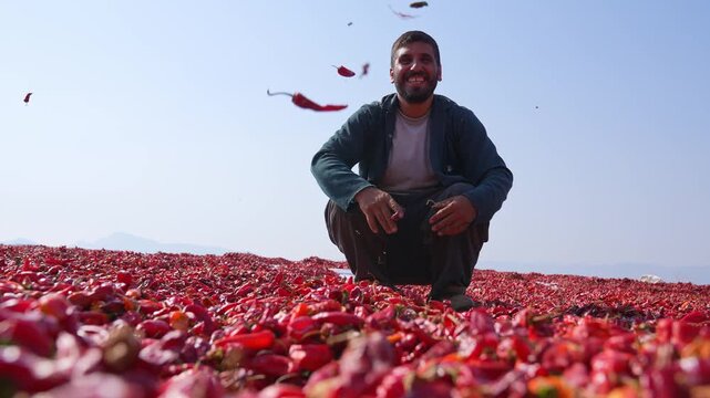 Smiling farmer throws red chili peppers into the air in a sunny open area where peppers are drying; captures playful moment in traditional agriculture, spice production and rural life.