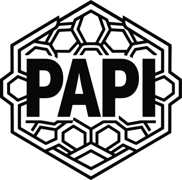 Papi Geometric Hexagon Typography Design father lettering