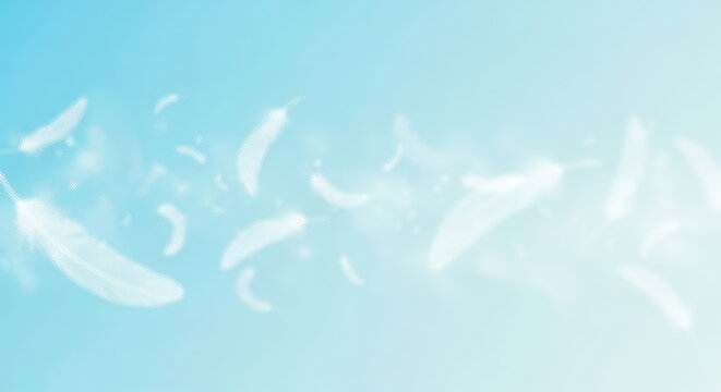 White silhouette of two birds flying against light blue sky background