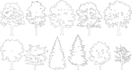 Minimalist tree outline collection, set of 11 deciduous and coniferous tree vector silhouettes, thin line art forest plant icons for architectural site plans © Faisal