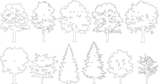 Minimalist tree outline collection, set of 11 deciduous and coniferous tree vector silhouettes, thin line art forest plant icons for architectural site plans