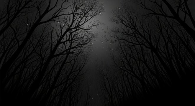 Dramatic dark forest path illuminated by a bright light creating an eerie and mysterious atmosphere