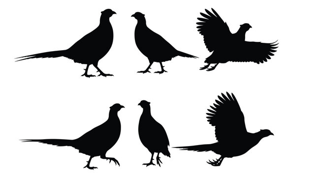 A collection of pheasant silhouettes in various poses and actions