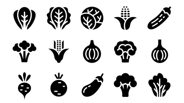 A collection of various types of hats with diverse styles, brims, and designs, showcasing headwear for different occasions and preferences. isolated on transparent background