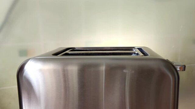 toasts are placed in the toaster