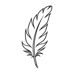 Obraz premium Detailed feather illustration with quill and barbs on white background