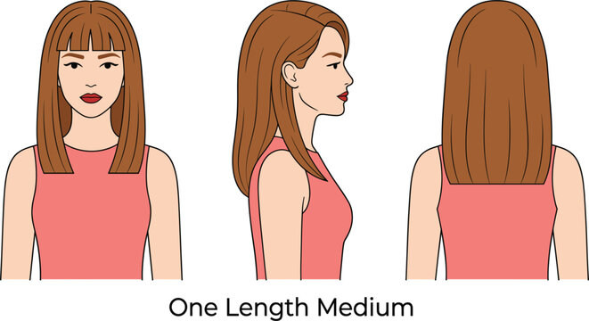 Professional One Length Medium Haircut Vector Illustration Set Featuring Front, Side, and Back Views of a Female Character for Hairdressing Guides, Salon Education, and Beauty Styling