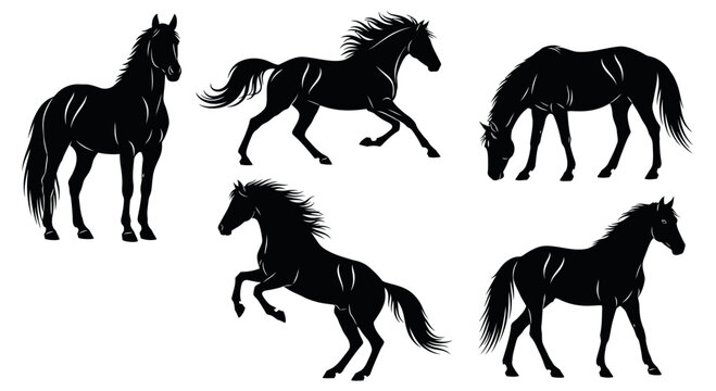 Black horse silhouettes run and stand in various dynamic poses outdoors