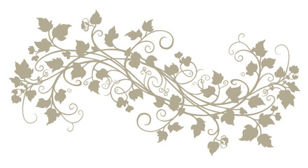 Ivy leaves vine decorative floral element. © Meta