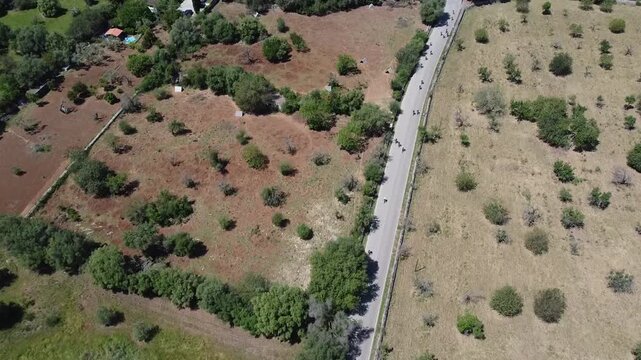 Aerial view of a large group of cyclists riding on a rural road in Mallorca during a bike race, Mediterranean landscape background.