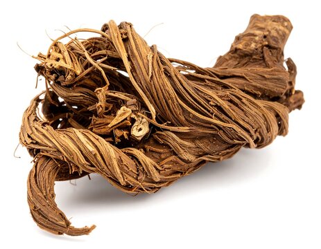 Costus Root Isolated on White Background &ndash; Exotic Aromatic Ingredient