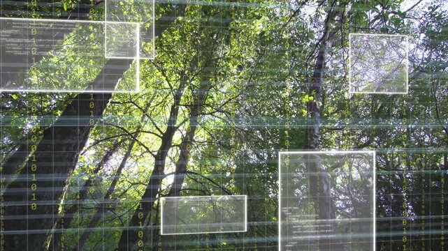 Faint grid appearing over tree canopy, translucent panels materializing and drifting, showing data