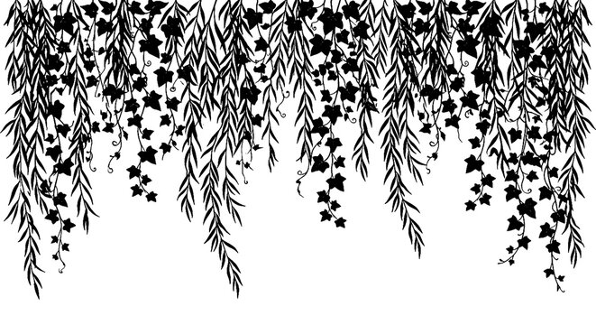 Dropping garden vines and leaves silhouette for top page border design