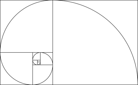 A monochrome illustration of a golden ratio spiral and rectangle.