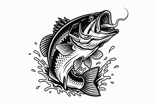 Striking black and white illustration of a leaping largemouth bass with water splashes