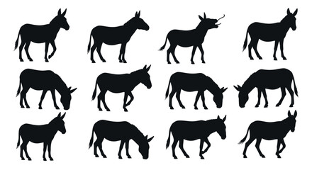 Fototapeta premium Donkey Silhouettes Collection: Various Poses and Actions