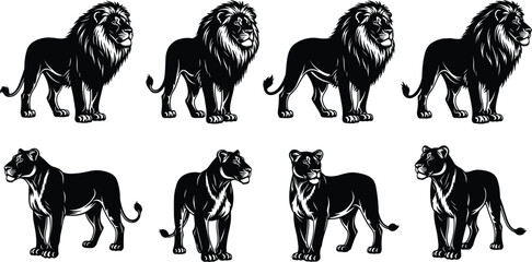Majestic Lion and Lioness Silhouette Vector Set Featuring Proud Standing Poses for Wildlife Conservation Logos Safari Branding and Powerful Animal Nature Graphics © MstRoysha