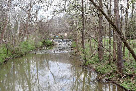 The flowing creek in the woods on a spring day.