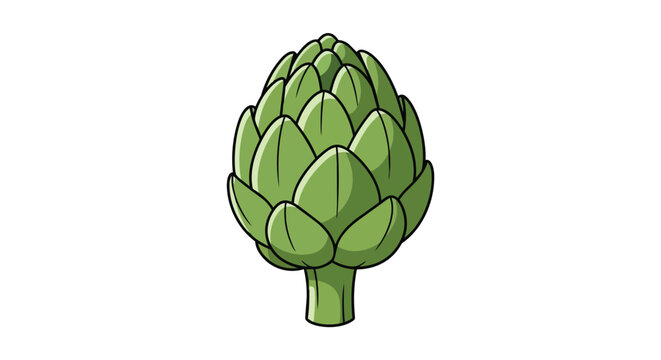 Fresh Green Artichoke Vector Illustration Isolated on White Background for Food and Healthy Eating Design