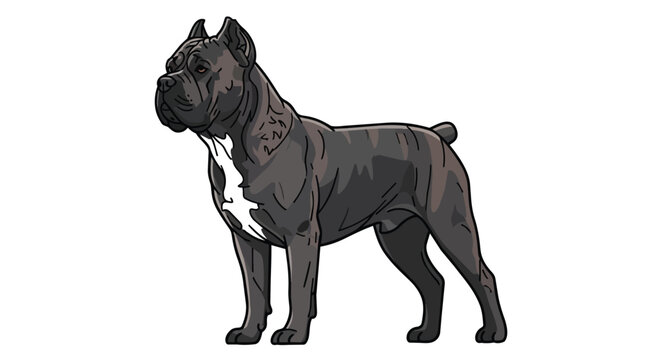 Powerful Muscular Cane Corso Dog Illustration - Strong Guardian Mastiff Breed Vector Graphic for Mascot, Logo, and Pet Lovers