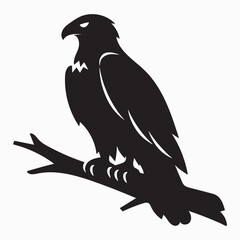 Fototapeta premium Eagle Perched on Branch – Majestic Silhouette Side Profile