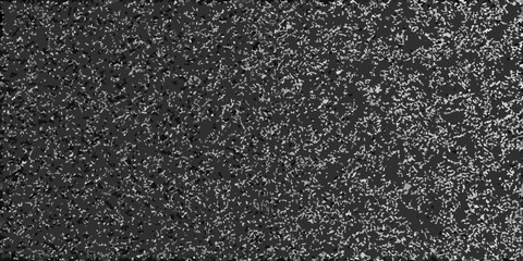 Fototapeta premium static noise texture in black and white