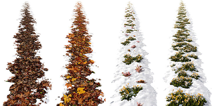 Four seasons path showing seasonal transition of nature, changing from autumn leaves to winter snow and spring flowers Concept of time passing, climate change, environmental cycle, and nature growth