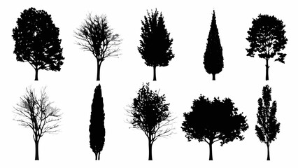 Fototapeta premium tree silhouettes in black and white isolated on white background