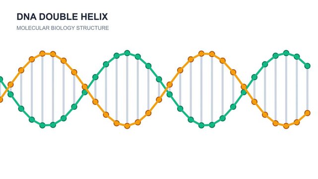 DNA Double Helix Molecular Model Structure.