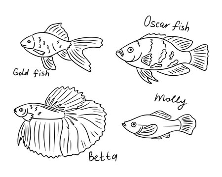 Illustration of four distinct fish species including Goldfish, Oscar fish, Betta, and Molly, each labeled with their names in a simple black and white design