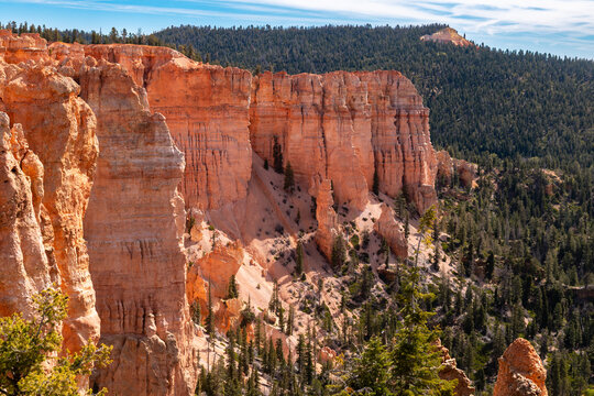 Towering orange sandstone cliffs and hoodoos rise above a pine forest in a sunlit canyon, showcasing a dramatic desert landscape.