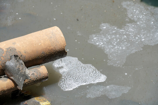 Dirty stagnant water with white foam and mosquito larvae in a drain.