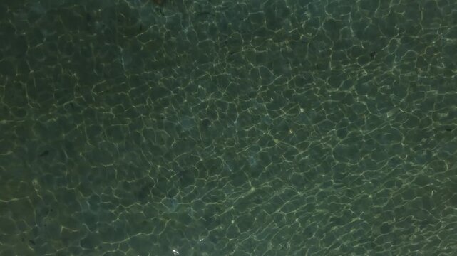 Soothing green water texture