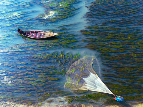 17 December 2025: Aerial view of a fisherman casting a large white net into clear blue water filled with green algae near a small wooden boat.