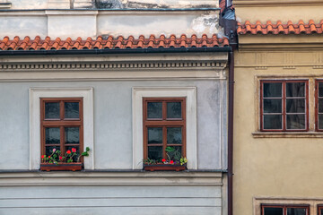 Fototapeta premium Elegant Windows