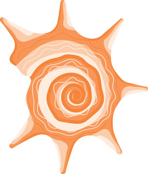Orange spiky seashell with spiral pattern and long thorns marine shell isolated