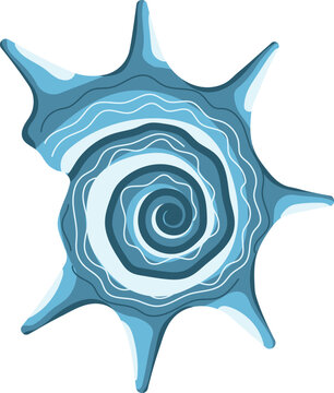 Blue spiky seashell with spiral pattern and long thorns marine shell isolated