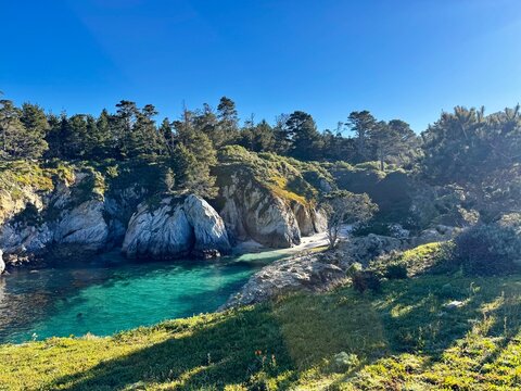 Hidden Cove with Vivid Turquoise Water, White Rock Arch, and Pine Forest at Point Lobos