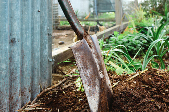 spade by chook run in garden