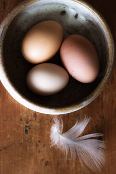 Farm Fresh Eggs Still Life