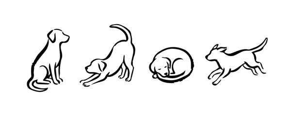 Obraz premium Set of dogs in different poses in rough ink drawing style. Dog drawings with black stroke on white background. Vector illustration.