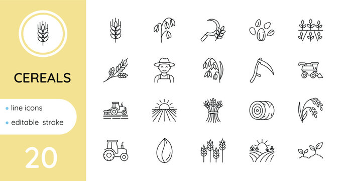 A set of linear icons for cereals, growing, and harvesting. Vector, isolated, editable