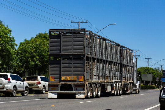 Guyra street with cattle truck transporting livestock on road