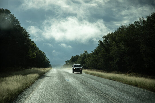 Car driving on a tree lined, bitumen road