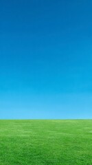 Fototapeta premium Clear Blue Sky Over Lush Green Grass Field Under Bright Sunlight in Tranquil Outdoor Setting