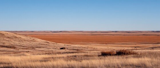 Fototapeta premium Expansive Desert Landscape Under Clear Blue Sky With Rolling Hills and Distant Horizon in Natural Setting