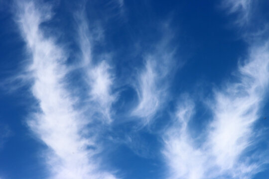 Cirruswolken oder auch Federwolken