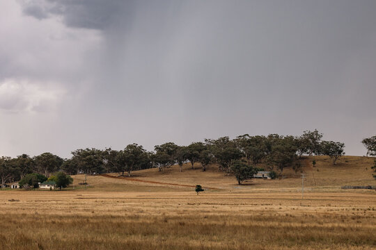 Rural Australian landscape with scattered trees and a distant farmhouse under a stormy sky